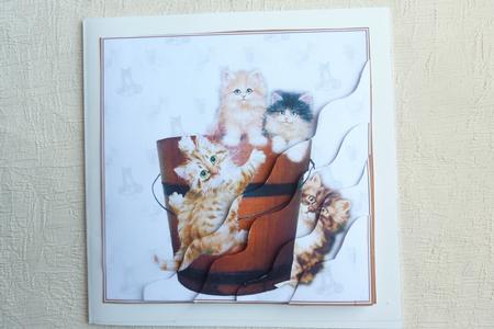 A Bucket Full of Kittens by Rosina Walker