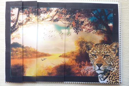 Sunset Big Cat by Rosina Walker