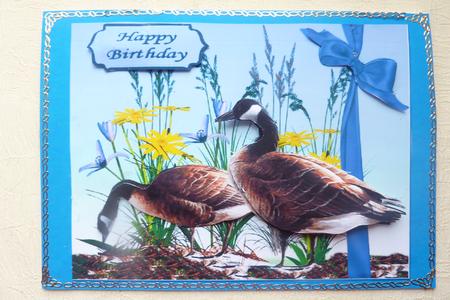 Canadian Geese by Rosina Walker