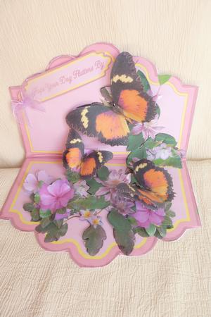 Pop Up - Butterfly Dance by Rosina Walker