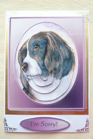 Spaniel in Frame Oval Pyramid Topper by Rosina Walker