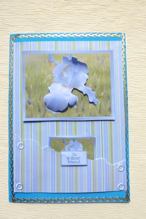Blue Iris by Rosina Walker