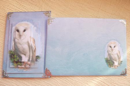 Barn Owl Mini Card and Envelope by Rosina Walker