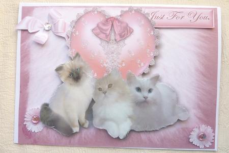 Fluffy Kitties on a Lace Heart by Rosina Walker