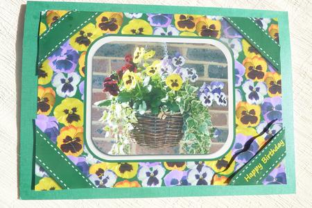 Pansy Hanging Basket by Rosina Walker
