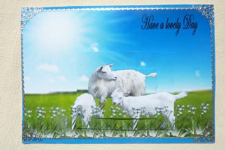 Goats in the Meadow by Rosina Walker
