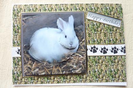White Rabbit 3D Decoupage by Rosina Walker
