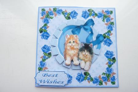 Oh How Cute Kittens by Rosina Walker