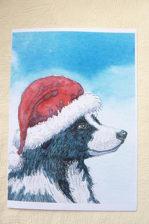 His Holiday Hat by Rosina Walker
