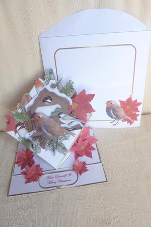 Giant Spring Wobble Card Kit - and We Will Have Snow by Rosina Walker