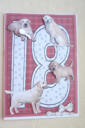 Golden Labrador 18th Birthday Card by Rosina Walker