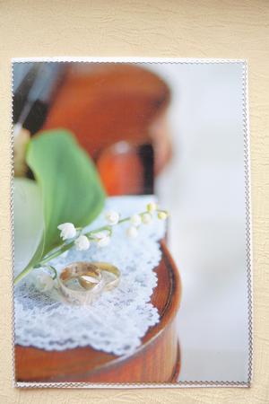 Wedding Violin by Rosina Walker
