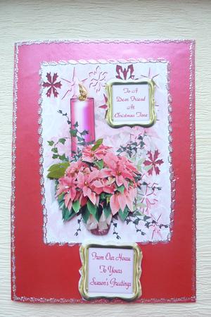 Pink Poinsettia Featured Gallery Photo