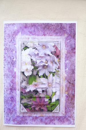 Clematis A5 Pyramid Card by Rosina Walker