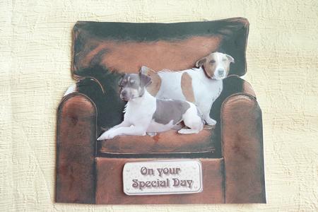 Jack Russell Terriers in an Armchair by Rosina Walker