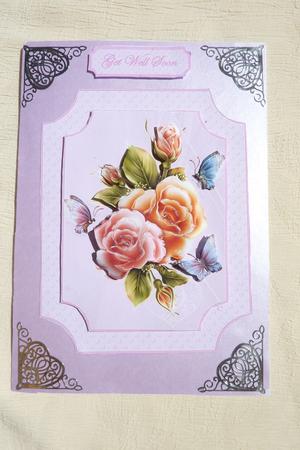 Flower Butterflies by Rosina Walker