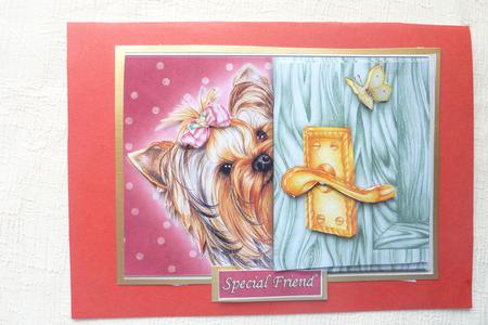 Peek a Boo Yorkshire Terrier Decoupage by Rosina Walker