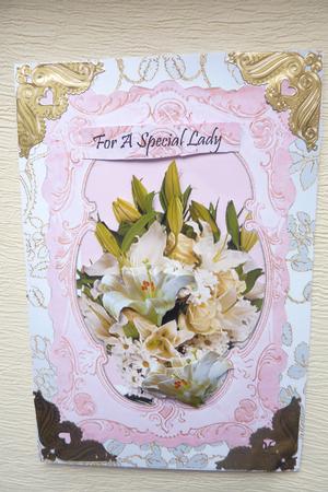 For a Special Lady by Rosina Walker