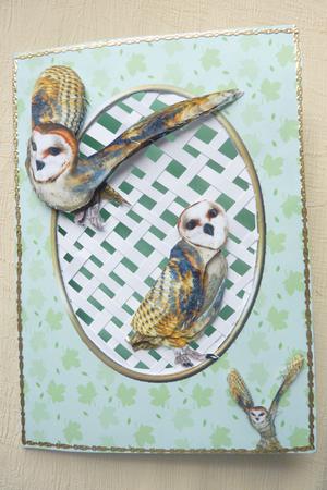 Barn Owls - Trellis Card Kit by Rosina Walker