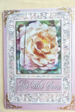 Floral Framed Rose by Rosina Walker