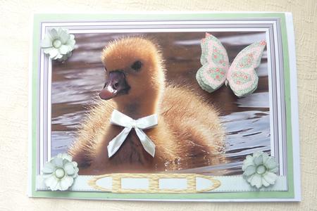 How Are You Today? by Rosina Walker