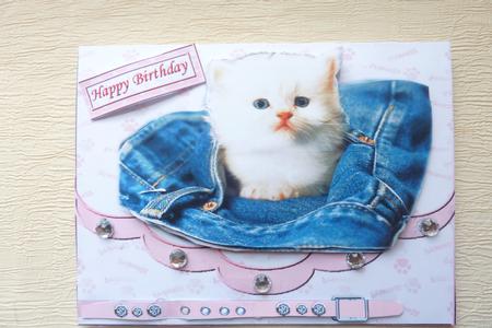 A Kitty in My Pocket by Rosina Walker
