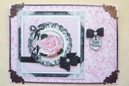 Pink Rose on Black and White by Rosina Walker