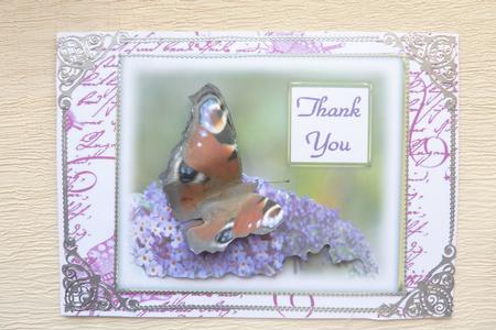 Peacock Butterfly and Buddlia by Rosina Walker