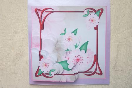 Lotus Lilly by Rosina Walker