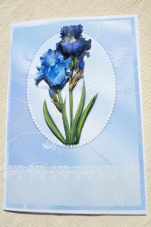 Iris Beauty by Rosina Walker