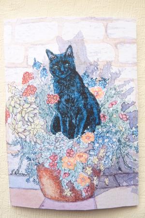 It Was His Favorite Spot in the Sun by Rosina Walker