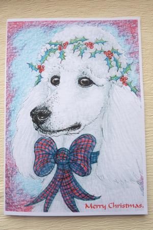 She Was Dreaming of a White Poodle by Rosina Walker