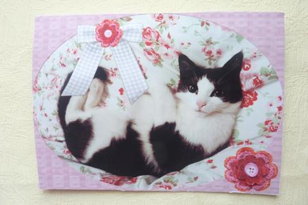 Sweet Lizzy by Rosina Walker