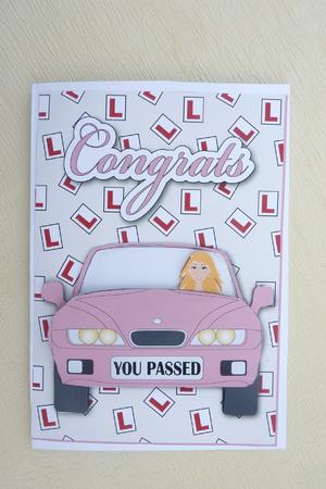 New Driver Left Hand Drive (pink) by Rosina Walker