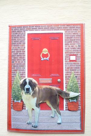 St Bernard with a Red Door by Rosina Walker