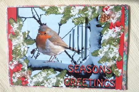 Framed Robin by Rosina Walker