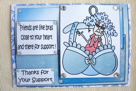 Stella Says Friends Are Like Bras Quick Card by Rosina Walker