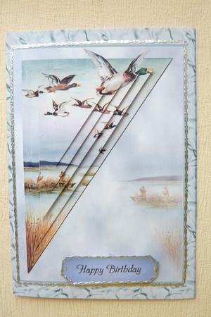 Lake Scene Flying Ducks by Rosina Walker