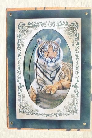 Tiger Quick Card by Rosina Walker