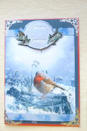 Morning Robin by Rosina Walker