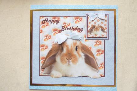 Happy Birthday Sweetheart Bunny by Rosina Walker