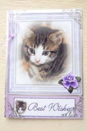 Little Kitten by Rosina Walker