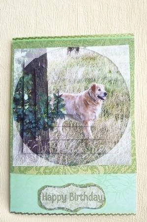 Golden Retriever Dog in the Country Pyramid by Rosina Walker