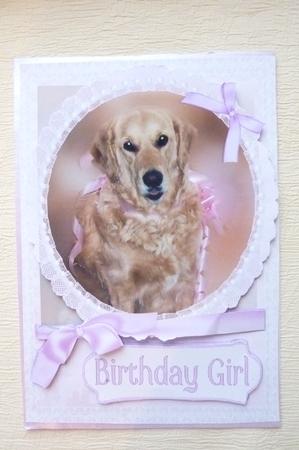 Birthday Girl Golden Retriever Dog Card Front by Rosina Walker