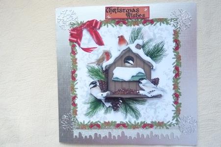 Christmas/birthday Birds by Rosina Walker