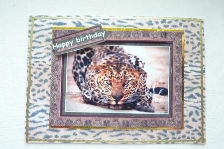 Leopard by Rosina Walker
