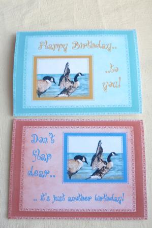 Flappy Birthday & Don't Flap, Just Another Birthday by Rosina Walker