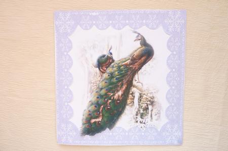 Snowflakes Square Lace Frame Digital Embellishment by Rosina Walker