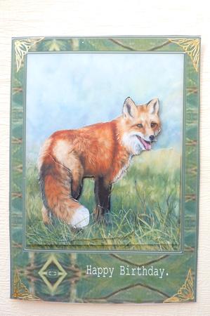 Fox by Rosina Walker