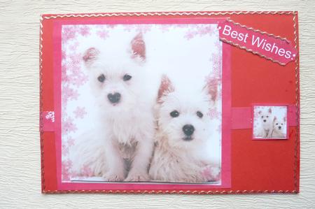 Snowflake Westie Large Square Card Front by Rosina Walker